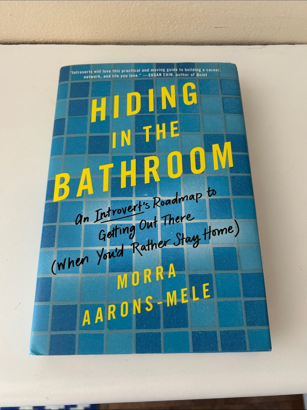 Hiding in the Bathroom: An introvert’s Roadmap - Hardcover